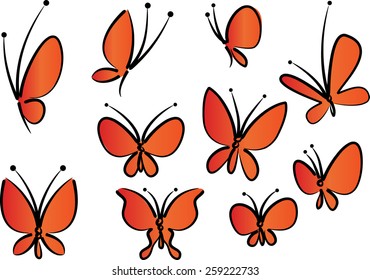 butterfly