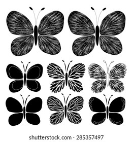 butterfly