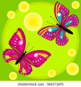 butterfly