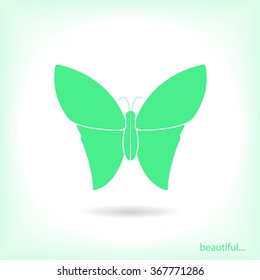 butterfly