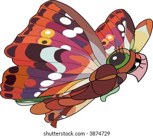 butterfly
