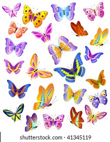 Butterfly