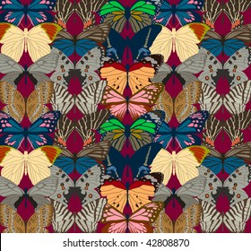 butterfly