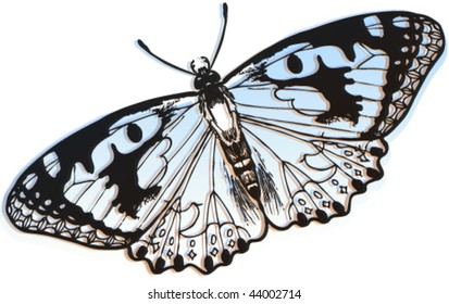 The butterfly