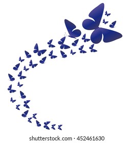 butterfly