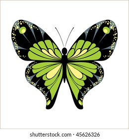 butterfly