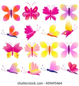 butterfly
