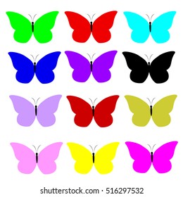 butterfly 