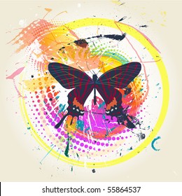 butterfly