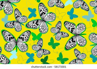 butterfly