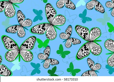 butterfly