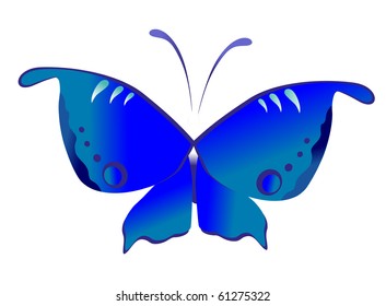 butterfly