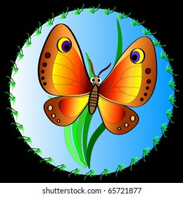 Butterfly