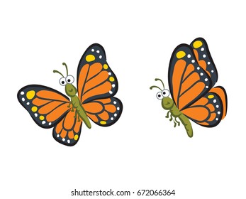 butterfly 