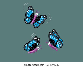 butterfly 