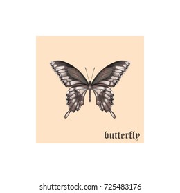 butterfly
