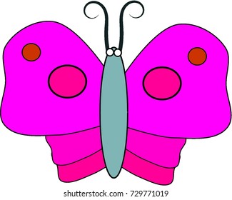 butterfly