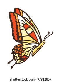 Butterfly