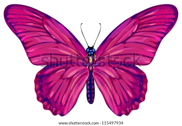 Butterfly Stock Vector (Royalty Free) 115497934 | Shutterstock