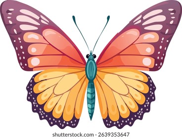 butterfly from above wings spread open