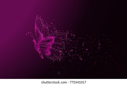 Butterfly abstract isolated on purple background. For web site, poster, placard and wallpaper. Useful for cover and flyer. Creative art, modern abstract concept