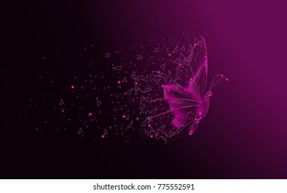 Butterfly abstract isolated on purple background. For web site, poster, placard and wallpaper. Useful for cover and flyer. Creative art, modern abstract concept