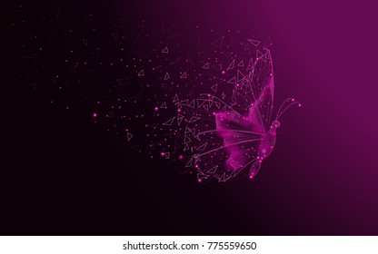 Butterfly abstract isolated on purple background. For web site, poster, placard and wallpaper. Useful for cover and flyer. Creative art, modern abstract concept