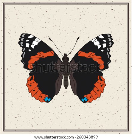 Butterfly admiral - vector illustration