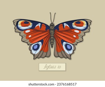 Butterfly aglais io concept. Colorful and bright insect with wings. Fauna and wildlife. Sticker for social networks and messengers. Cartoon flat vector illustration isolated on beige background