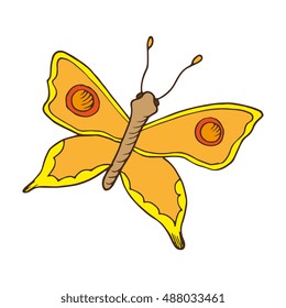 butterfly animal insect