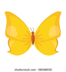  butterfly animal insect fly
