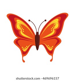 butterfly animal insect animal wings fly front open spring artistic vector illustration isolated