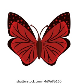 butterfly animal insect animal wings fly front open spring artistic vector illustration isolated