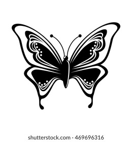 butterfly animal insect animal wings fly spring artistic vector front illustration isolated front