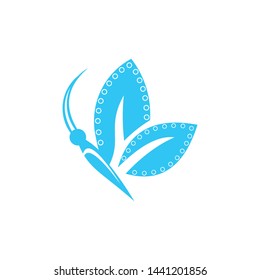 a butterfly animal logo template