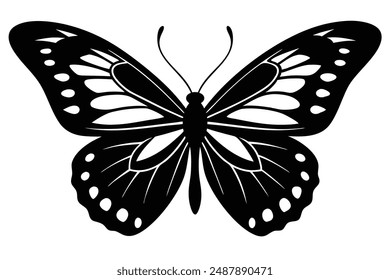 butterfly animal silhouette vector illustration