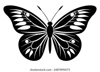 butterfly animal silhouette vector illustration