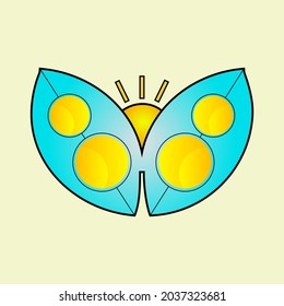 Butterfly appearance during the day or night