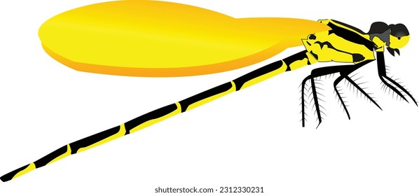 Schmetterlingskunst in Illustrator .