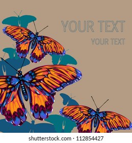 butterfly background