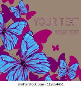 butterfly background