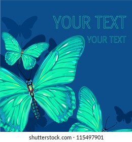 butterfly background