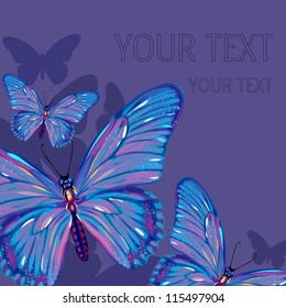 butterfly background