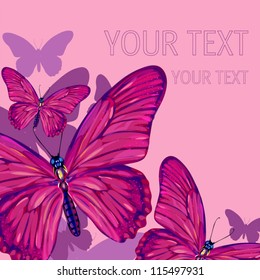 butterfly background