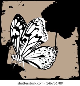 Butterfly background