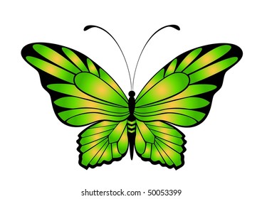 Butterfly. Beautiful abstract vector illustration.