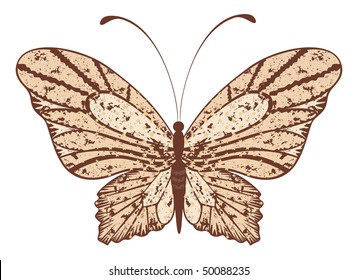 Butterfly. Beautiful abstract vector illustration.