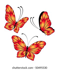 Butterfly. Beautiful abstract vector illustration.