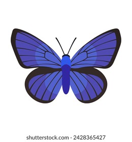 Butterfly with beautiful blue wings. Vector illustration.