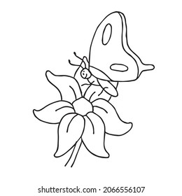Butterfly Beautiful line art,Butterfly sketch,vector art,outline drawing illustration